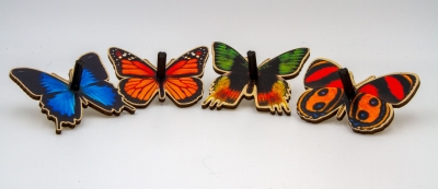 WH170 - Nature Fun - Butterflies