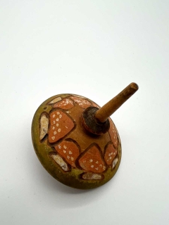 CS297 - Mushroom Houses