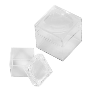 WP6387006 - Magnifier box