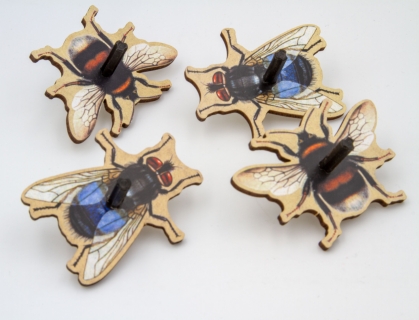 WH170_2 - Nature Fun - Flies/bees