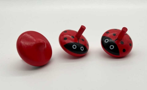 GI6463 - Marienkäfer